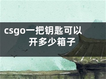 csgo一把钥匙可以开多少箱子