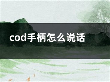 cod手柄怎么说话