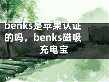 benks是苹果认证的吗，benks磁吸充电宝