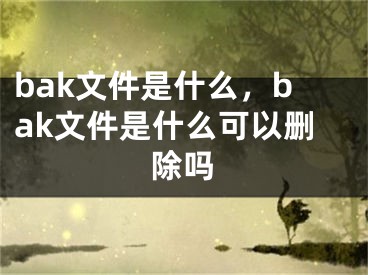 bak文件是什么，bak文件是什么可以删除吗