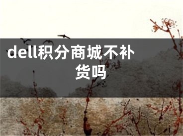 dell积分商城不补货吗