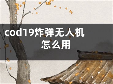 cod19炸弹无人机怎么用