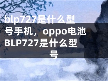 blp727是什么型号手机，oppo电池BLP727是什么型号