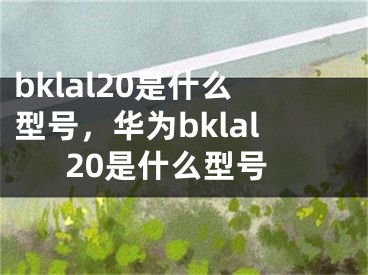 bklal20是什么型号，华为bklal20是什么型号