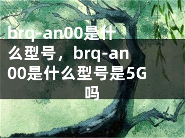 brq-an00是什么型号，brq-an00是什么型号是5G吗