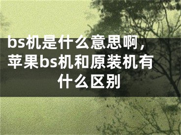 bs机是什么意思啊，苹果bs机和原装机有什么区别