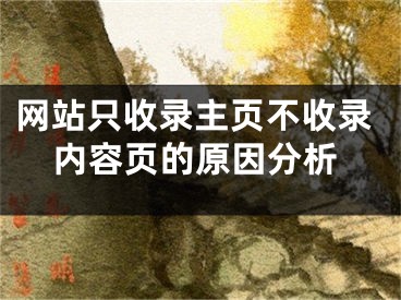 网站只收录主页不收录内容页的原因分析