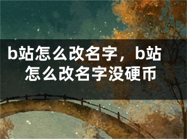 b站怎么改名字，b站怎么改名字没硬币