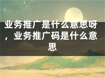 业务推广是什么意思呀，业务推广码是什么意思