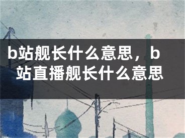 b站舰长什么意思，b站直播舰长什么意思