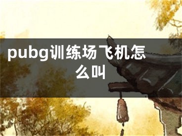 pubg训练场飞机怎么叫