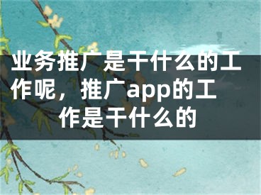 业务推广是干什么的工作呢，推广app的工作是干什么的 