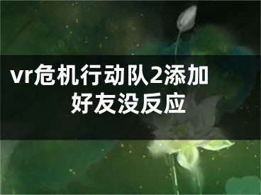 vr危机行动队2添加好友没反应