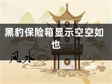 黑豹保险箱显示空空如也