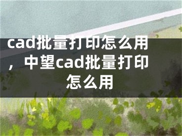 cad批量打印怎么用，中望cad批量打印怎么用