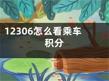 12306怎么看乘车积分