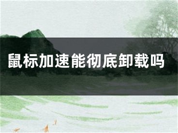 鼠标加速能彻底卸载吗