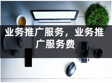 业务推广服务，业务推广服务费