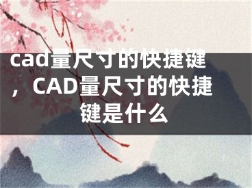 cad量尺寸的快捷键，CAD量尺寸的快捷键是什么