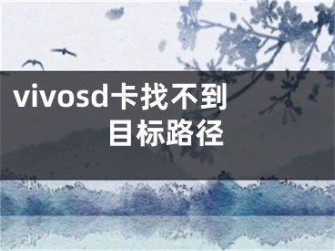 vivosd卡找不到目标路径