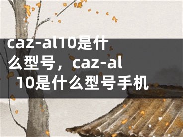 caz-al10是什么型号，caz-al10是什么型号手机