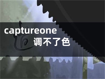 captureone调不了色