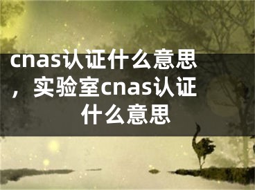 cnas认证什么意思，实验室cnas认证什么意思