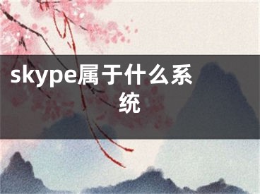 skype属于什么系统