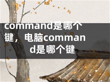 command是哪个键，电脑command是哪个键