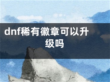 dnf稀有徽章可以升级吗