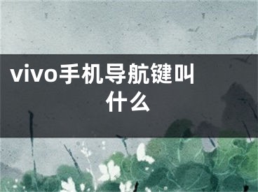 vivo手机导航键叫什么