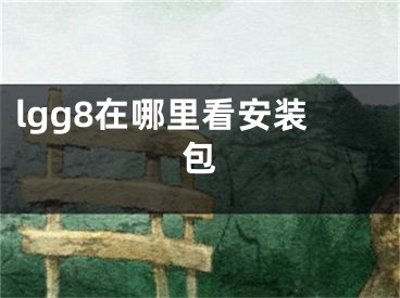 lgg8在哪里看安装包