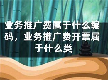 业务推广费属于什么编码，业务推广费开票属于什么类