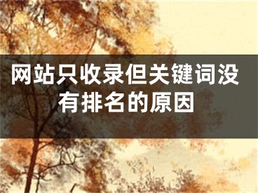 网站只收录但关键词没有排名的原因