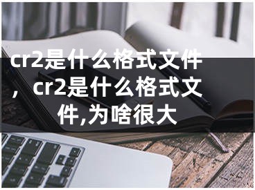 cr2是什么格式文件，cr2是什么格式文件,为啥很大
