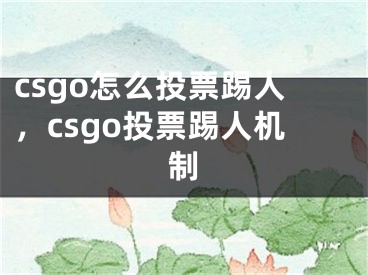 csgo怎么投票踢人，csgo投票踢人机制