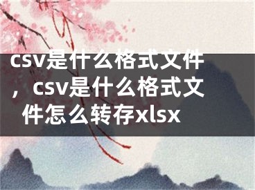 csv是什么格式文件，csv是什么格式文件怎么转存xlsx