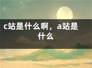 c站是什么啊，a站是什么