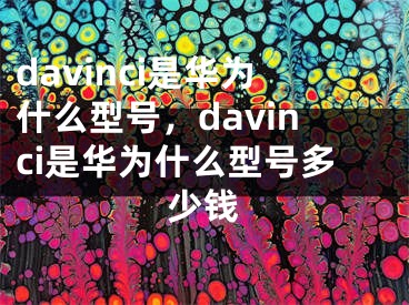 davinci是华为什么型号，davinci是华为什么型号多少钱