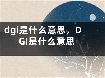 dgi是什么意思，DGI是什么意思