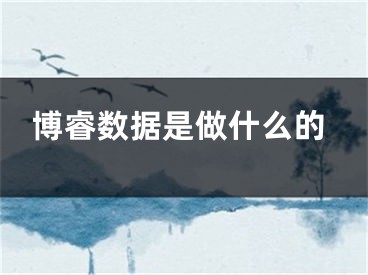 博睿数据是做什么的