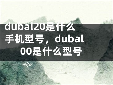 dubal20是什么手机型号，dubal00是什么型号