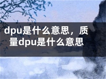 dpu是什么意思，质量dpu是什么意思