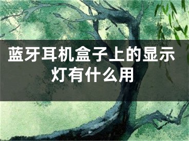 蓝牙耳机盒子上的显示灯有什么用