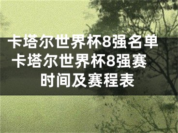 卡塔尔世界杯8强名单 卡塔尔世界杯8强赛时间及赛程表