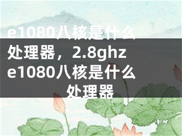 e1080八核是什么处理器，2.8ghze1080八核是什么处理器