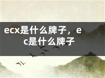 ecx是什么牌子，ec是什么牌子