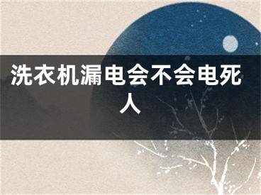 洗衣机漏电会不会电死人