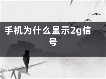 手机为什么显示2g信号