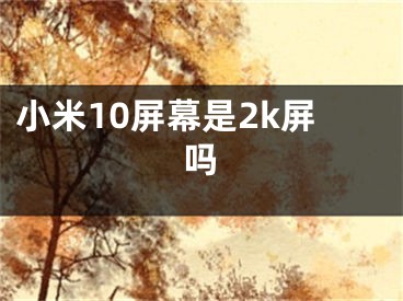 小米10屏幕是2k屏吗